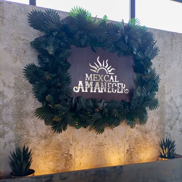 Proyectos logotipo de madera marca de mezcal amanecer cnc plantas con iluminacion